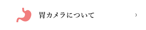 胃カメラについて