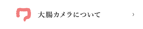 大腸カメラについて